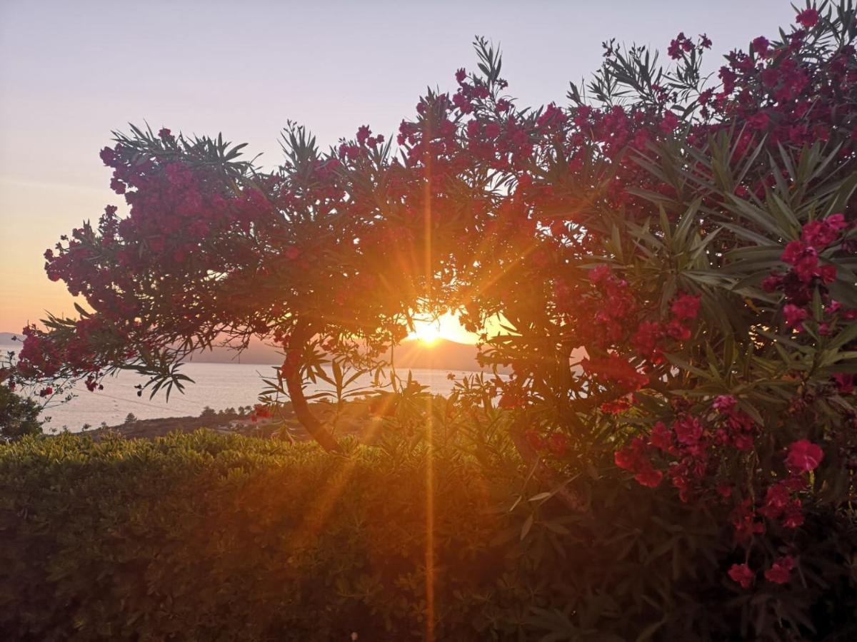 La Casa Sul Tramonto - Capoliveri - Services Included المظهر الخارجي الصورة